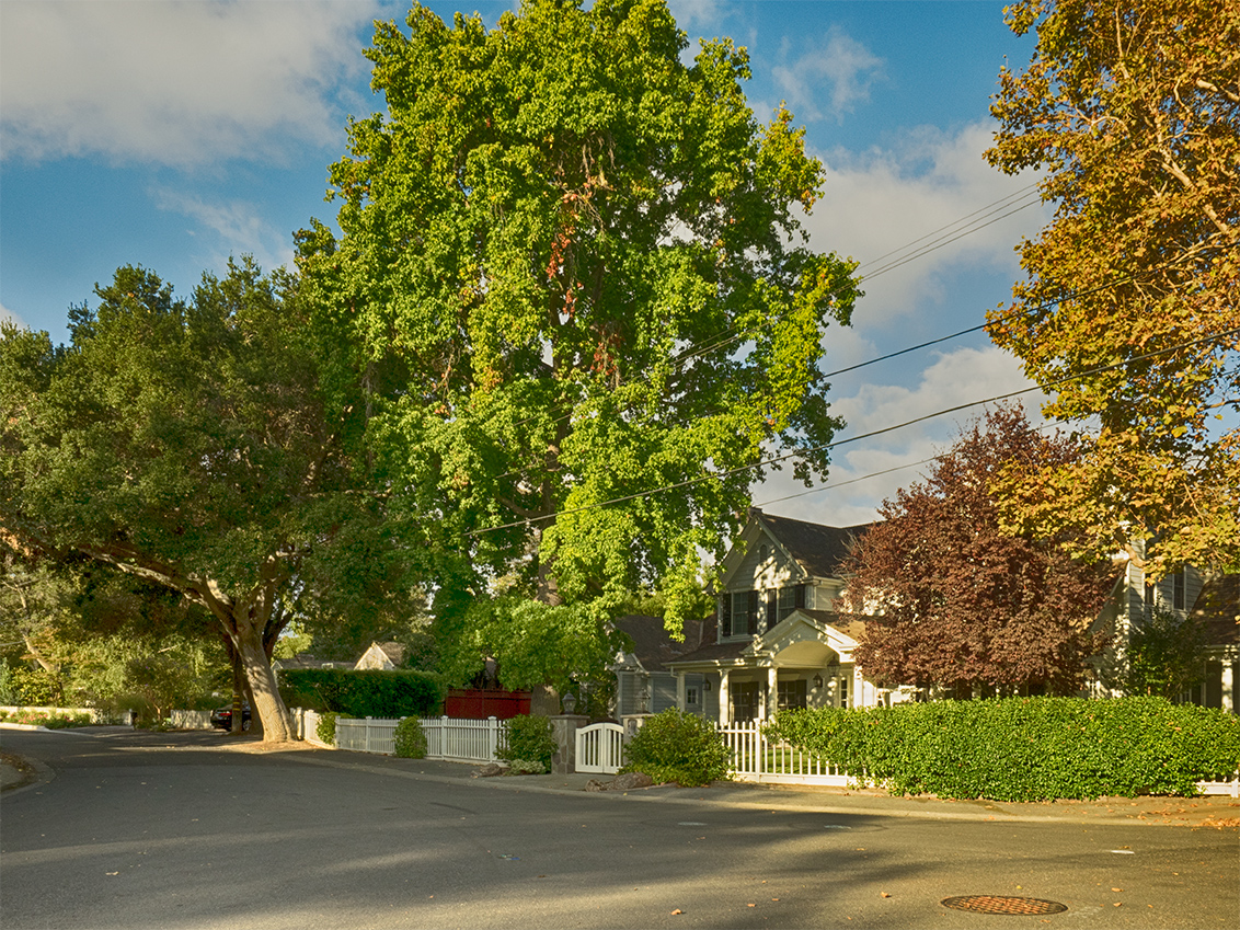 Felton Gables Neighborhood
