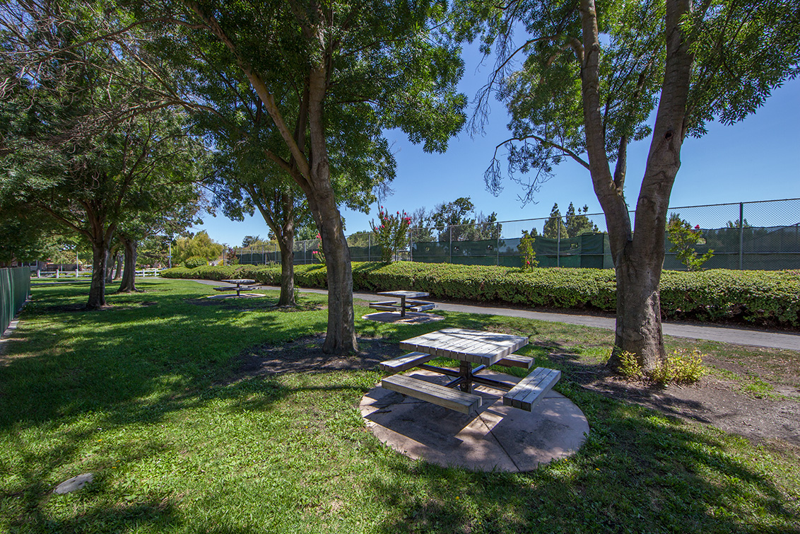 Stevenson Park - Mountain View, CA