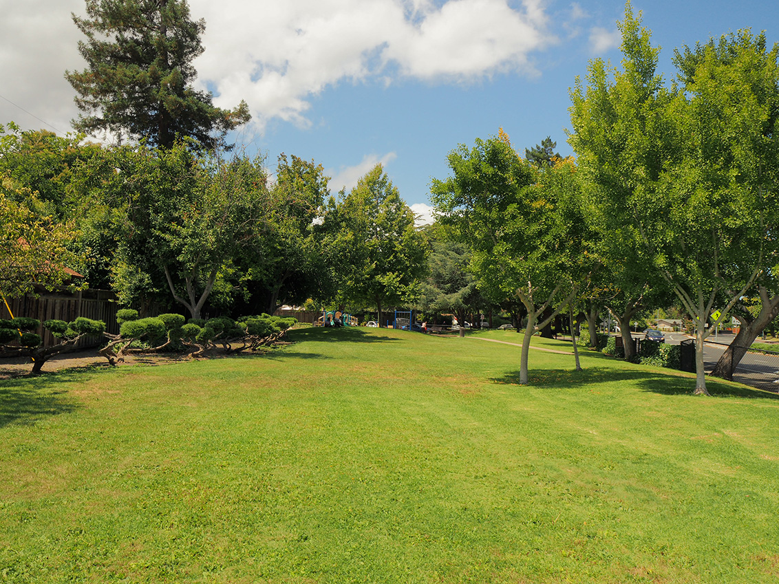Thaddeus Park - Mountain View, CA