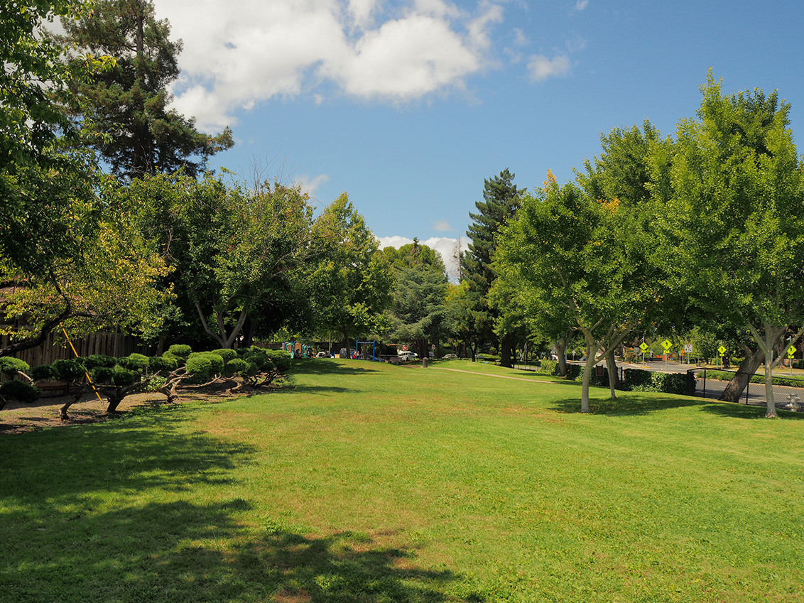 Thaddeus Park - Mountain View, CA