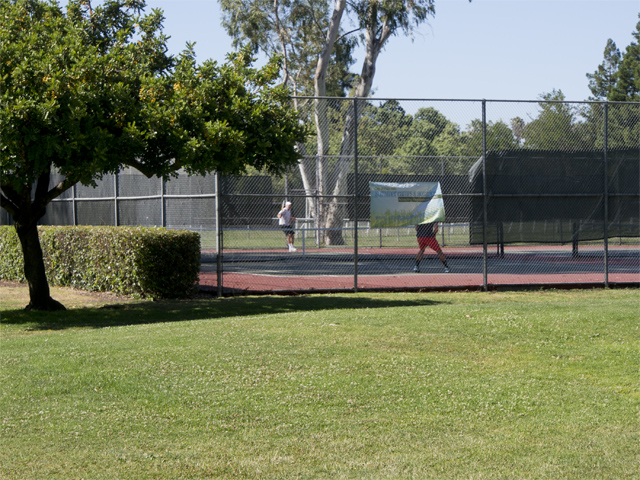 Tennis Court - Hoover Park, Palo Alto, CA