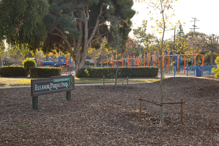Pardee Park - Palo Alto, CA