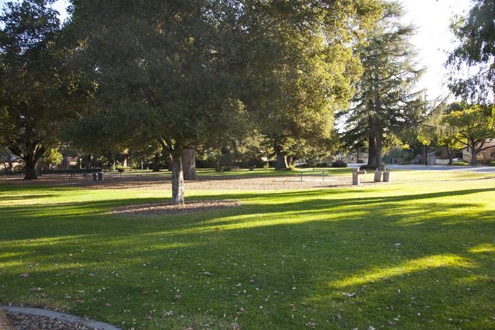 Picnic Area - Rinconada Park, Palo Alto, CA